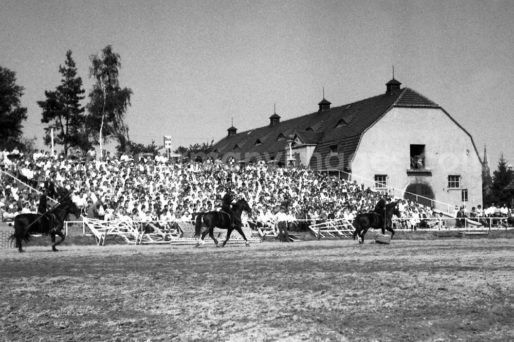 GDR picture archive: Dresden - Moritzburg Stallion Parade / VE Stallion Depot Moritzburg in the state Saxony on the territory of the former GDR, German Democratic Republic