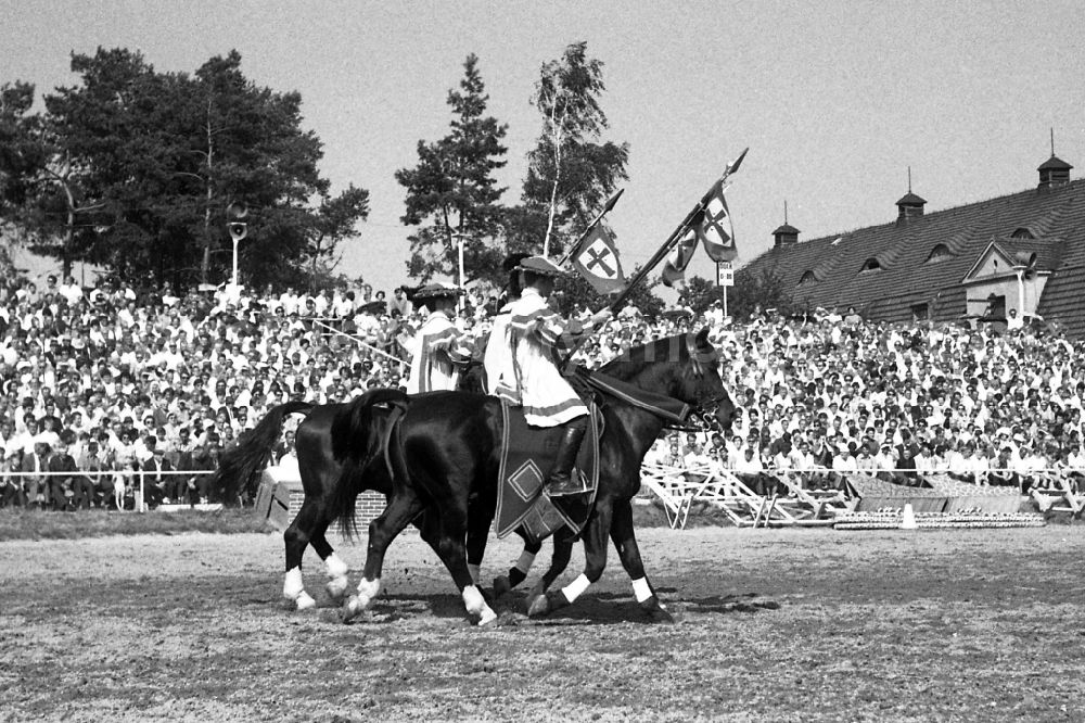 Dresden: Moritzburg Stallion Parade / VE Stallion Depot Moritzburg in the state Saxony on the territory of the former GDR, German Democratic Republic
