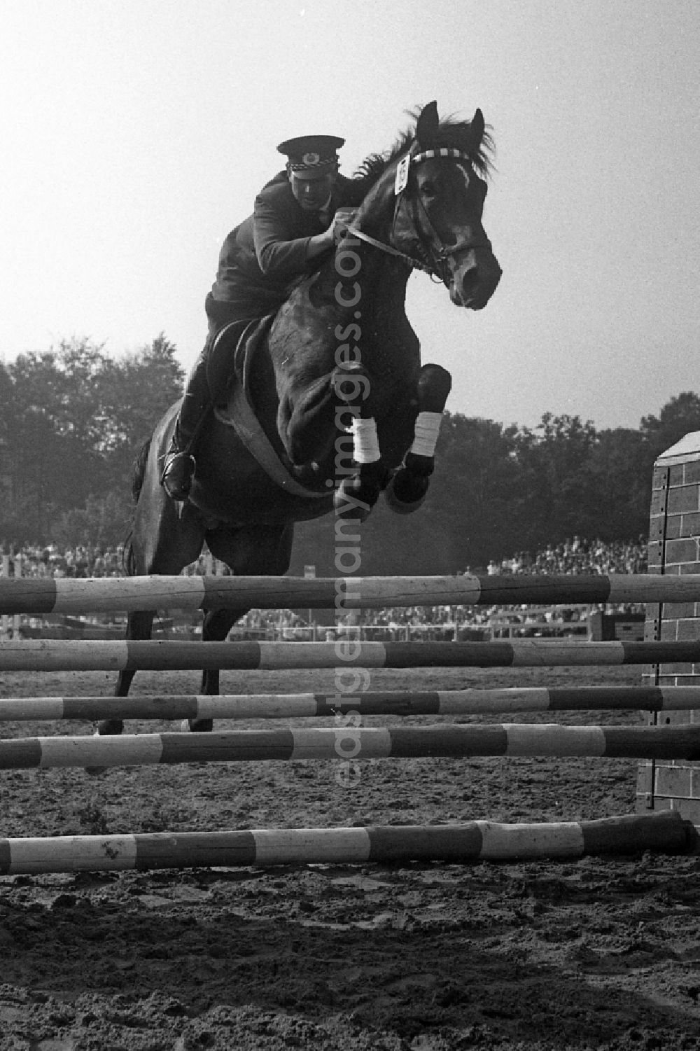 GDR photo archive: Dresden - Moritzburg Stallion Parade / VE Stallion Depot Moritzburg in the state Saxony on the territory of the former GDR, German Democratic Republic