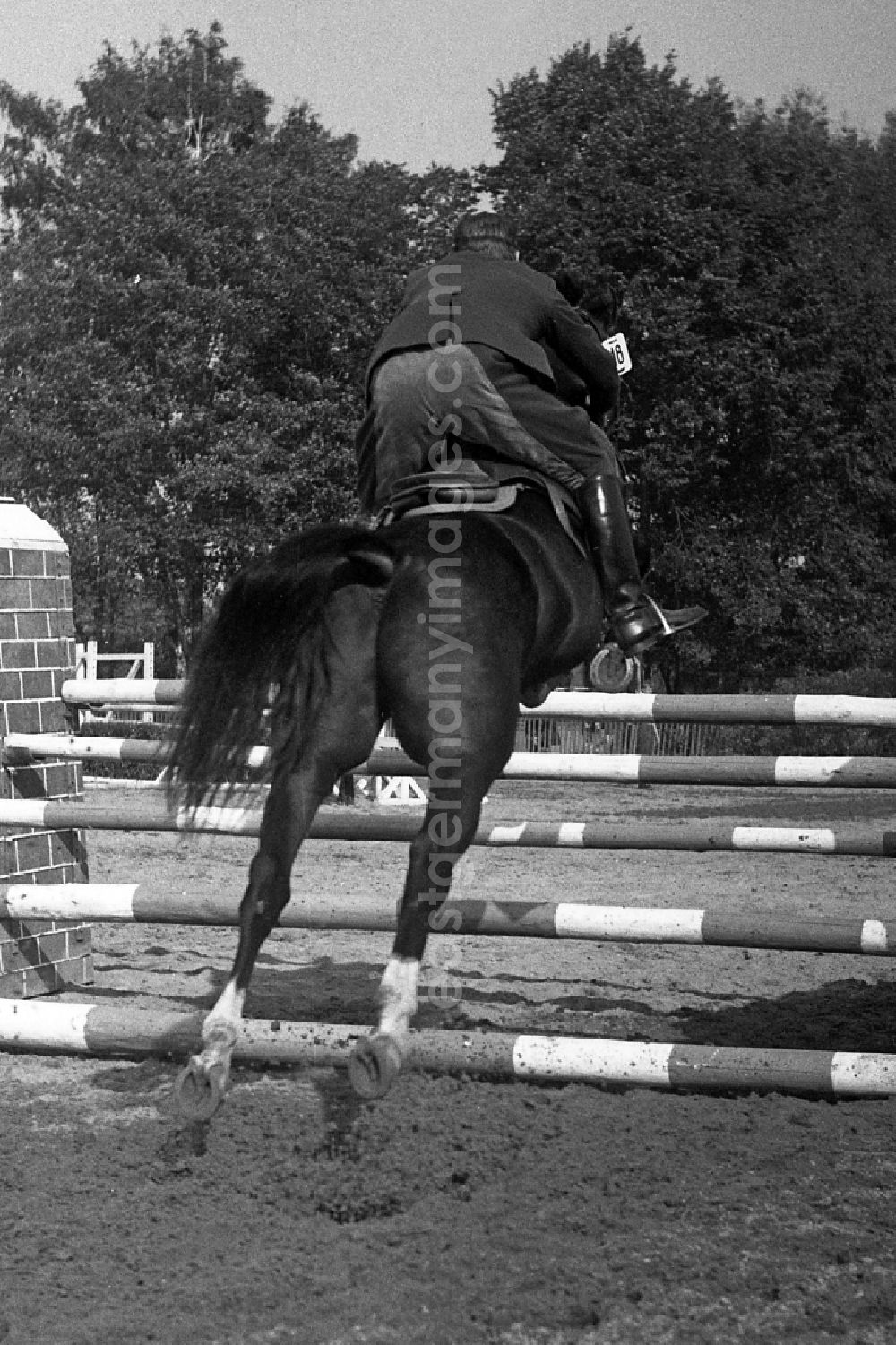 GDR image archive: Dresden - Moritzburg Stallion Parade / VE Stallion Depot Moritzburg in the state Saxony on the territory of the former GDR, German Democratic Republic