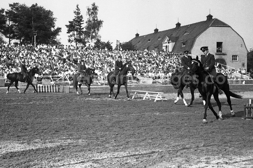 GDR image archive: Dresden - Moritzburg Stallion Parade / VE Stallion Depot Moritzburg in the state Saxony on the territory of the former GDR, German Democratic Republic
