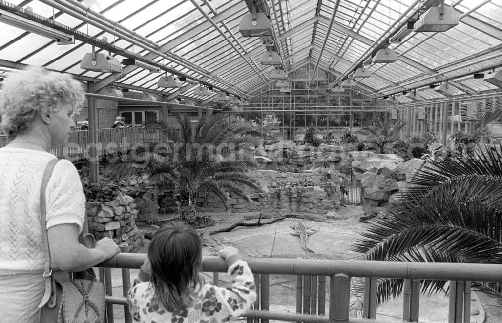GDR image archive: Berlin - Besucher bewundern die Anlagen im neuen Krokodilhaus des Berliner Tierpark. Beim Bau des erst vor wenigen Tagen fertig gestellten Gebäudes beteiligten sich Freunde des Tierparks mit Spenden von 185 00