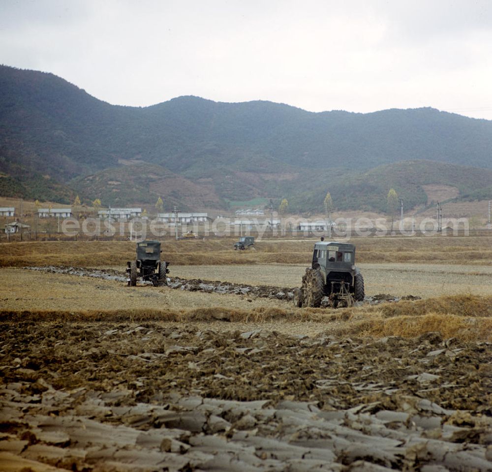 GDR image archive: Hamhung - Traktoren fahren über ein Feld in der Landwirtschaftlichen Produktionsgenossenschaft (LPG) nahe der Hafenstadt Hamhung in der Koreanischen Demokratischen Volksrepublik KDVR.