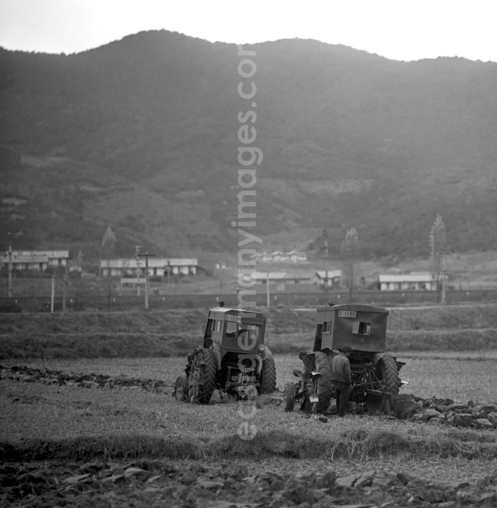 GDR photo archive: Hamhung - Traktoren fahren über ein Feld in der Landwirtschaftlichen Produktionsgenossenschaft (LPG) nahe der Hafenstadt Hamhung in der Koreanischen Demokratischen Volksrepublik KDVR - Nordkorea / Democratic People's Republic of Korea DPRK - North Korea.
