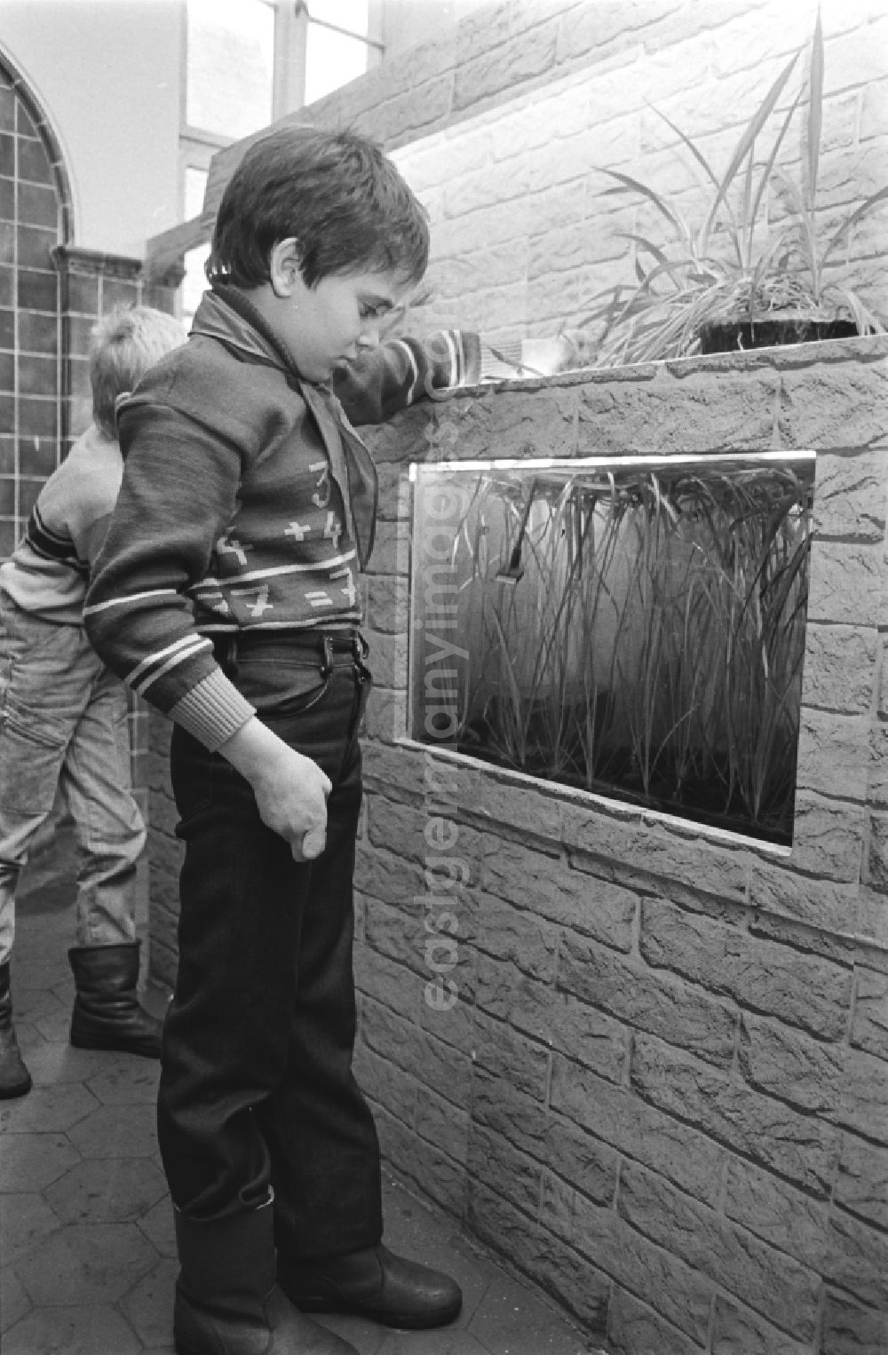 GDR photo archive: Laubusch - Secondary School OS Dr. Richard Sorge at Laubuscher Markt in the Upper Lusatian workers settlement Gartenstadt Erika in Laubusch in the state of Saxony on the territory of the former GDR, German Democratic Republic. Pupils standing in front of an aquarium in the school building