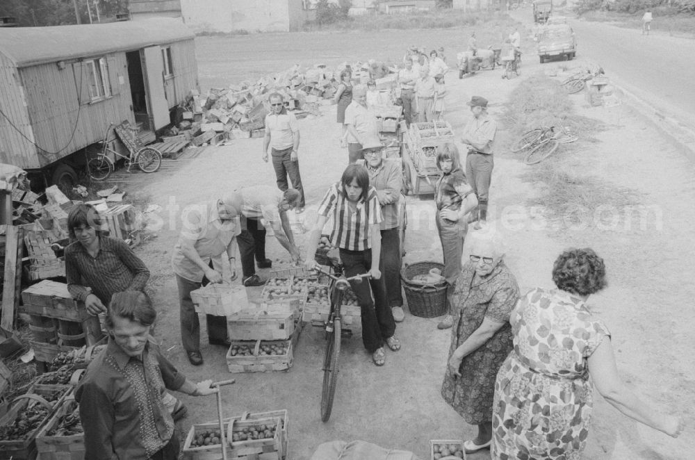 GDR photo archive: Berlin - The wholesale company of fruit, vegetables and potatoes (OGS) buys fruit and vegetables from the allotments in a buying office in the city district of Marzahn in Berlin, the former capital of the GDR, the German Democratic Republic