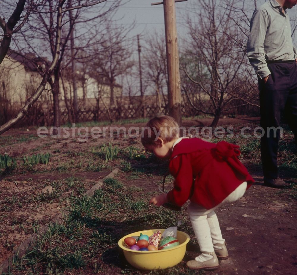 GDR picture archive: Zschopau - A small child in a red dress with the Easter egg look in the garden in Zschopau in the federal state Saxony in the area of the former GDR, German democratic republic