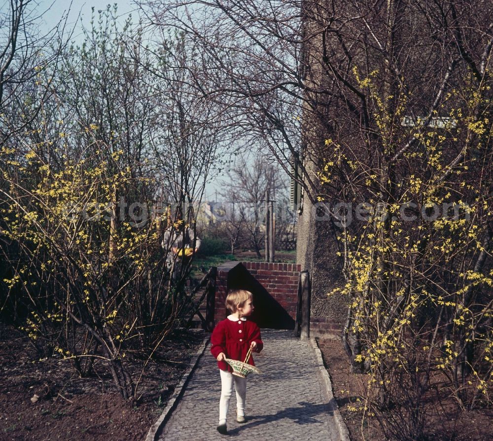 GDR image archive: Zschopau - A small child in a red dress with the Easter egg look in the garden in Zschopau in the federal state Saxony in the area of the former GDR, German democratic republic