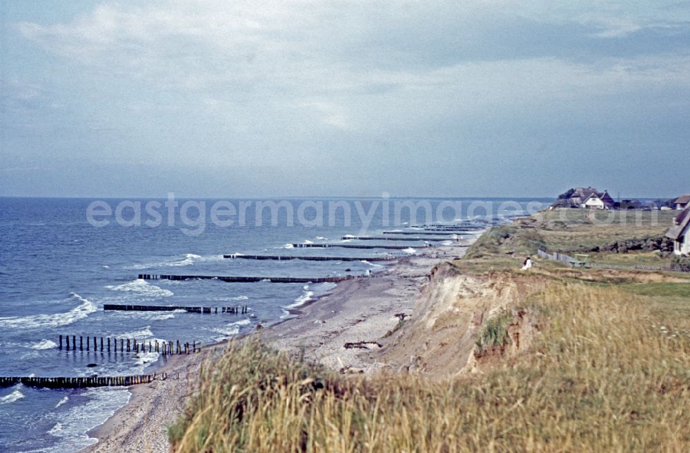 GDR image archive: Ahrenshoop - Beach landscape of the Baltic Sea on street Strandweg in Ahrenshoop, Mecklenburg-Western Pomerania on the territory of the former GDR, German Democratic Republic