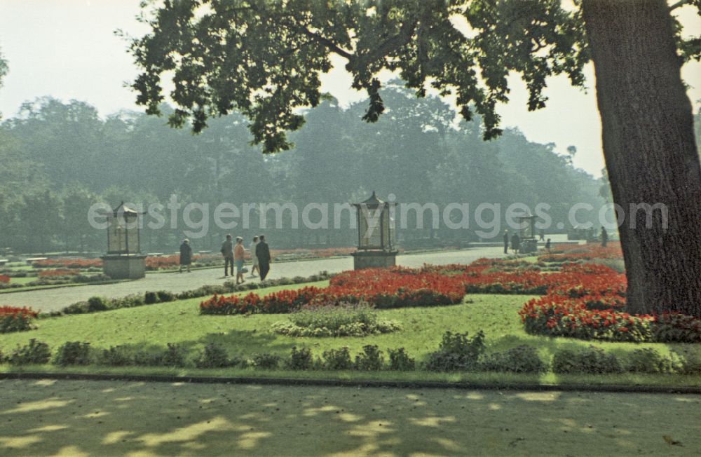 GDR photo archive: Berlin - Paths on trees and bushes in the zoo park on street Tierpark in the district Lichtenberg in Berlin Eastberlin on the territory of the former GDR, German Democratic Republic