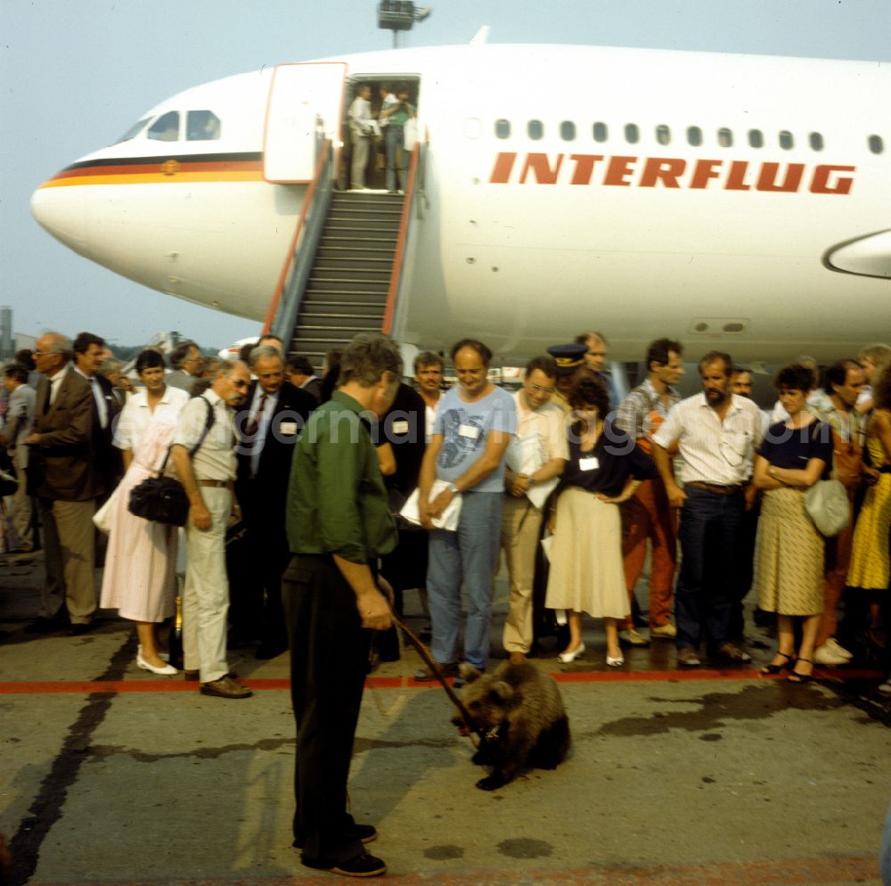 GDR picture archive: Schönefeld - Passenger aircraft Airbus A31