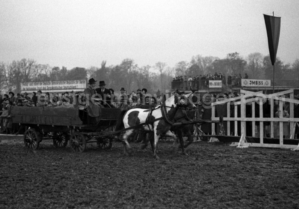 GDR picture archive: Leipzig - Horses and riders on the racecourse in the district Sued in Leipzig in the state Saxony on the territory of the former GDR, German Democratic Republic