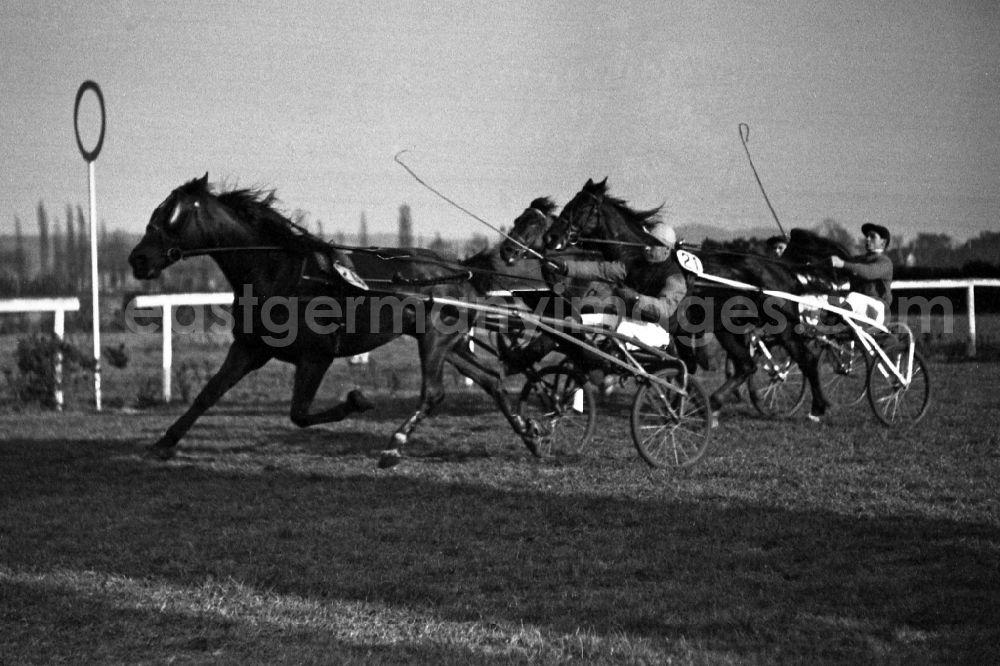 GDR photo archive: Leipzig - Horses and riders on the racecourse in the district Sued in Leipzig in the state Saxony on the territory of the former GDR, German Democratic Republic