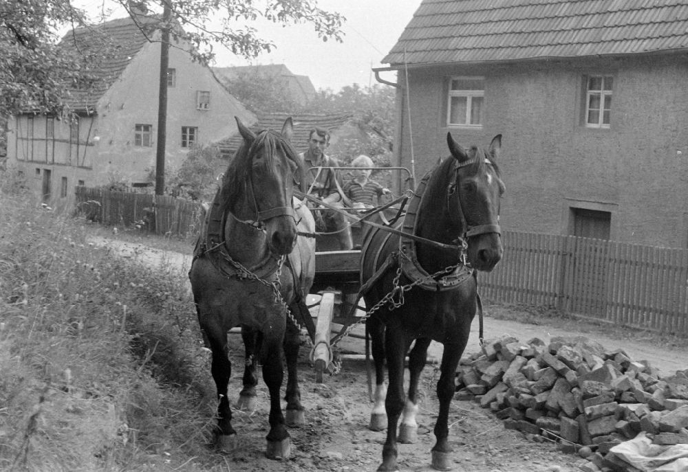 GDR image archive: Birmenitz - Horses in front of a team - cart in Birmenitz, Saxony on the territory of the former GDR, German Democratic Republic