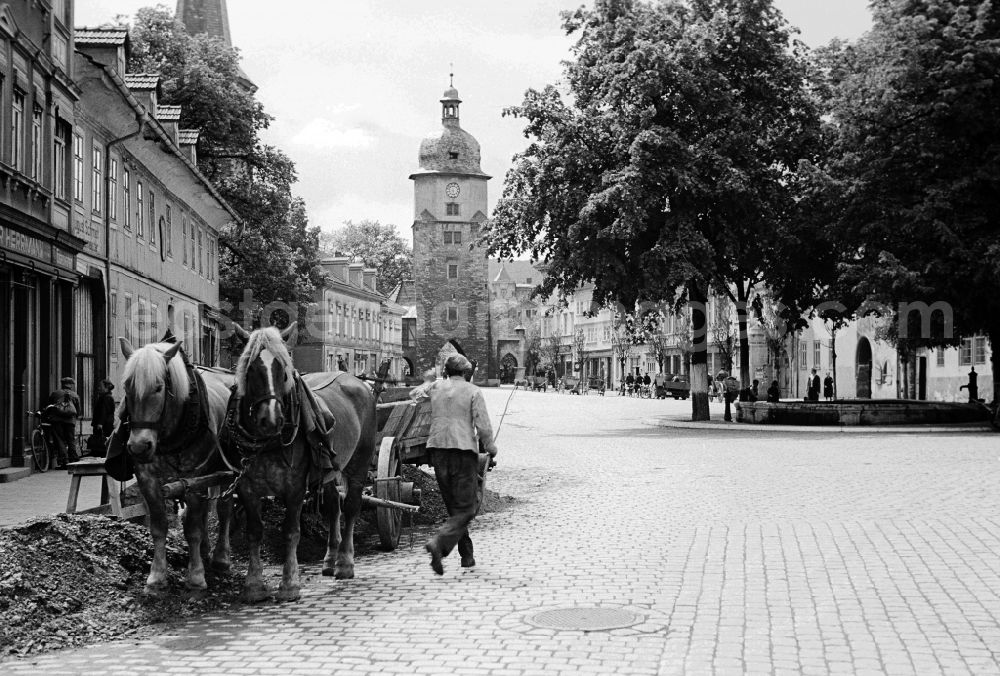 GDR picture archive: Arnstadt - A horse and cart on the Ried in Arnstadt in the federal state Thuringia in Germany