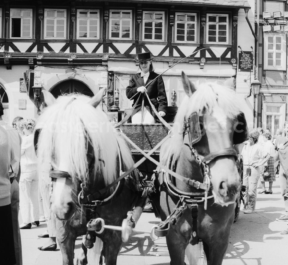GDR image archive: Wernigerode - Horse carriage at the market place in Wernigerode in the state Saxony-Anhalt on the territory of the former GDR, German Democratic Republic