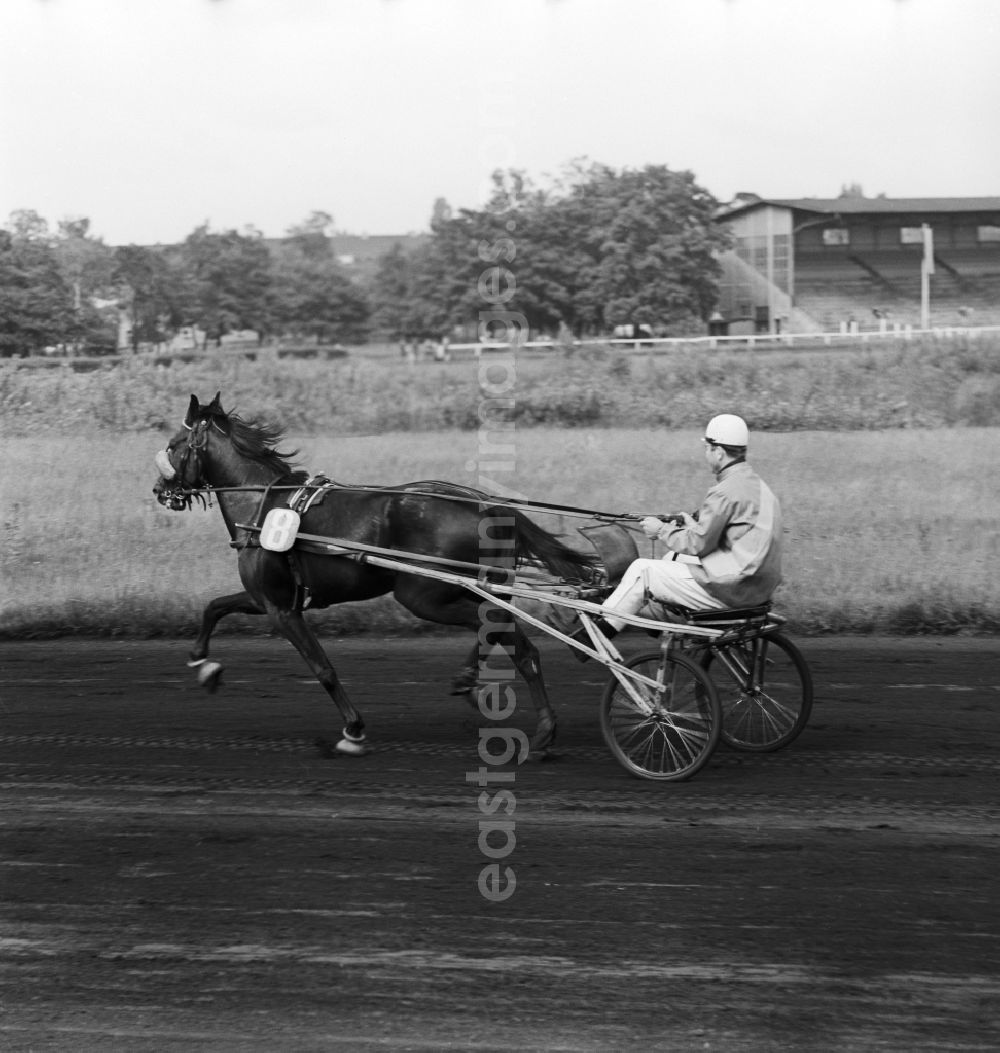 GDR photo archive: Berlin - Lichtenberg - Horse racing at the racetrack Karlshorst with driver in the sulky. The trotting Karlshorst is a historic 37-acre resort for horse racing in Berlin's Lichtenberg district, the district of Karlshorst