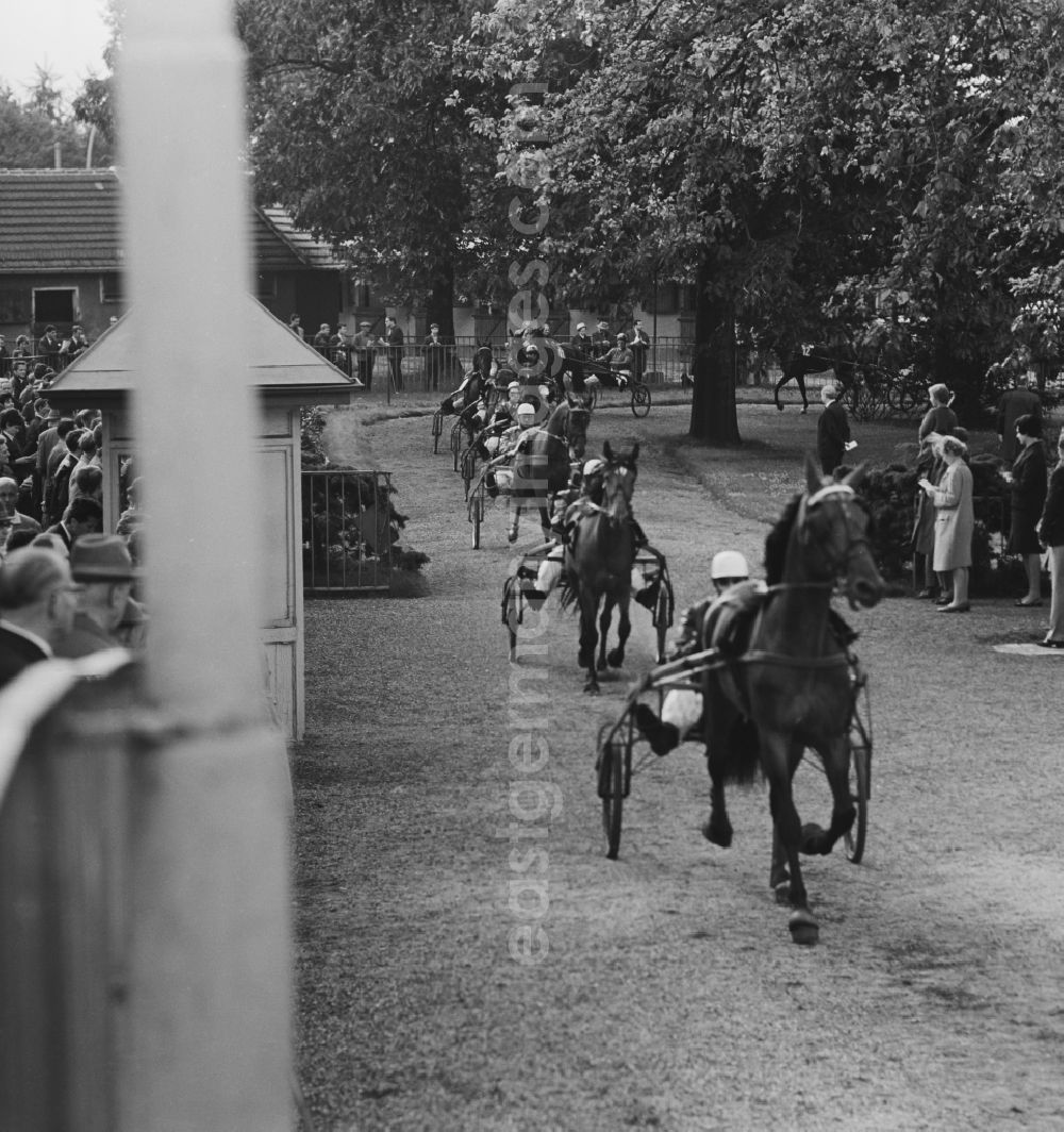 GDR image archive: Berlin - Lichtenberg - Horse racing at the racetrack Karlshorst with driver in the sulky. The trotting Karlshorst is a historic 37-acre resort for horse racing in Berlin's Lichtenberg district, the district of Karlshorst