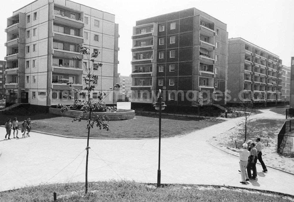 GDR picture archive: Magdeburg - Residential area / prefabricated building settlement in the part of town of Olvenstedt in Magdeburg in the federal state Saxony-Anhalt in the area of the former GDR, German democratic republic
