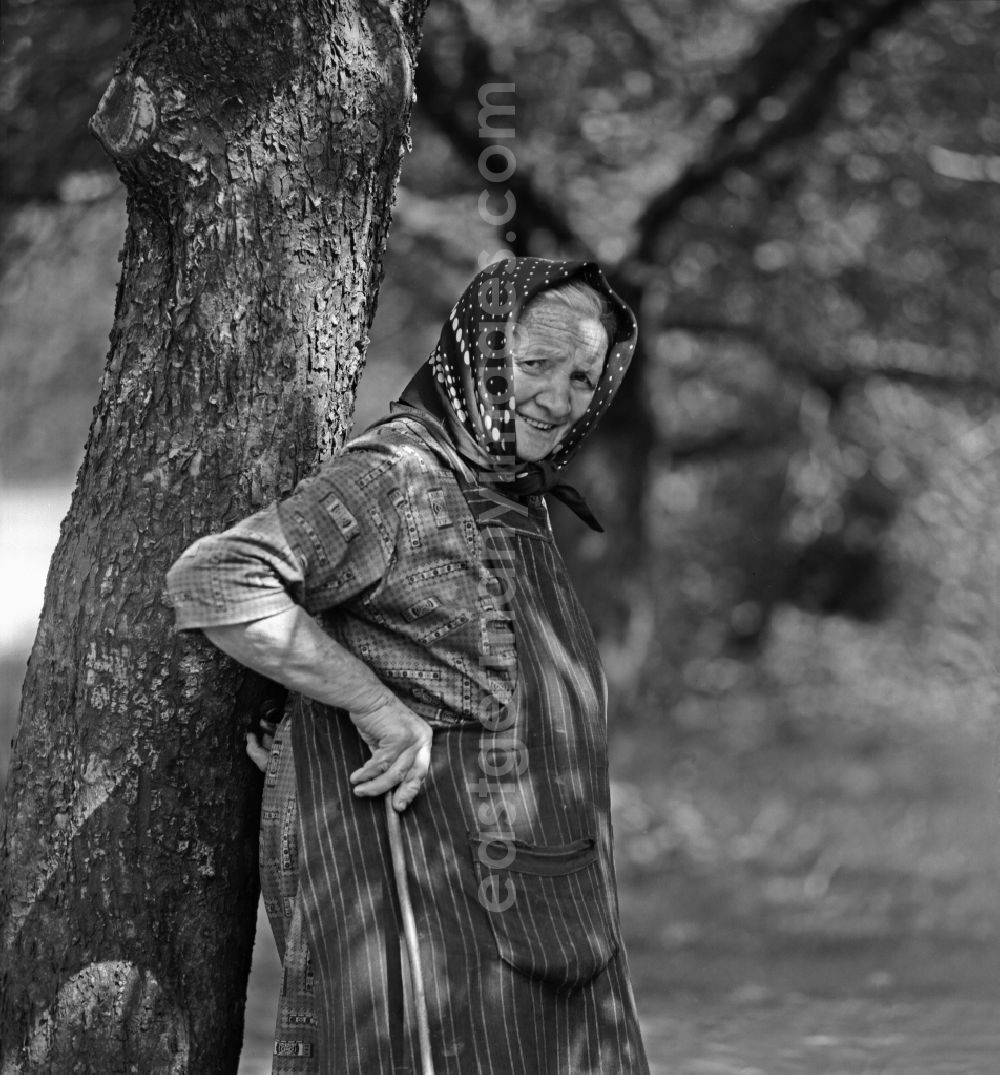 GDR image archive: Burg (Spreewald) - Portrait shot of an old Sorbian with a traditional headscarf in front of a tree in Burg (Spreewald), Brandenburg on the territory of the former GDR, German Democratic Republic