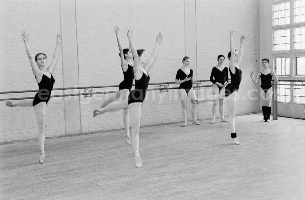 GDR photo archive: - Pressekonferenz in der Staatlichen Ballettschule Umschlagnummer: 733