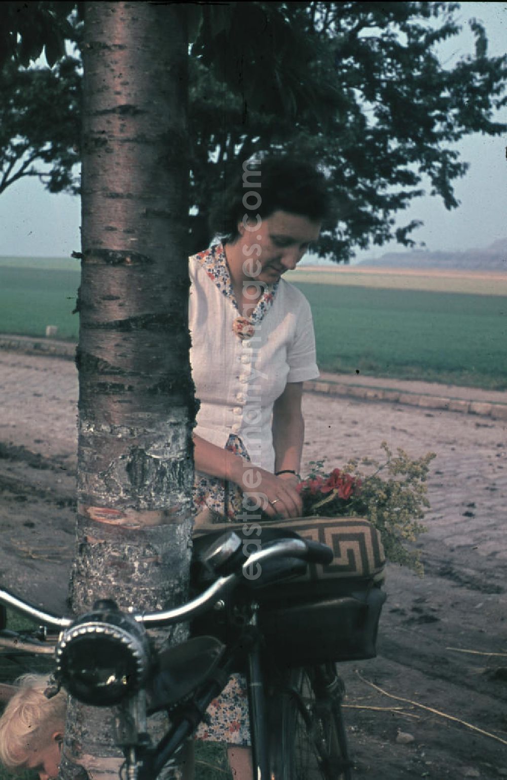 GDR photo archive: Merseburg - Fahrradtour bei Merseburg, Frau während einer Pause. Bicycle Tour in Merseburg, woman during a break.