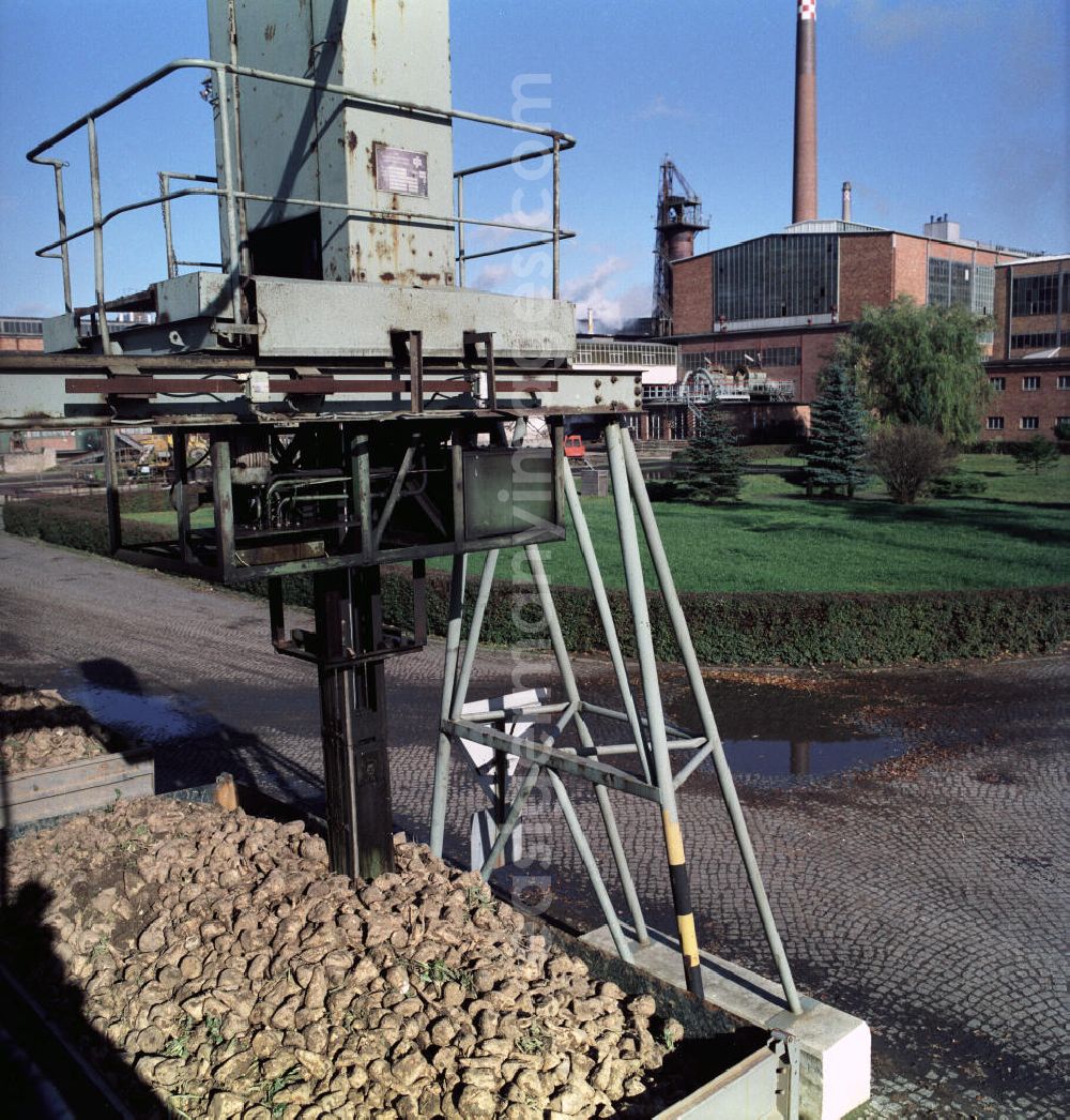 Güstrow: Zuckerrüben auf der Laderampe an der Rüben-Annahmestelle der VEB / Volkseigener Betrieb Fabrik Güstrow, heute im Besitz der Nordzucker AG. Die Fabrik gehörte zu den modernsten und leistungsfähigsten Betrieb in der DDR. Die Inbetriebnahme erfolgte im Oktober 1962.