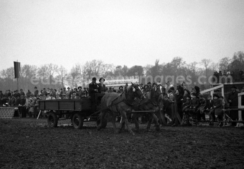 GDR picture archive: Leipzig - Riding and driving competition at the Scheibenholz racecourse in Leipzig in the state Saxony on the territory of the former GDR, German Democratic Republic