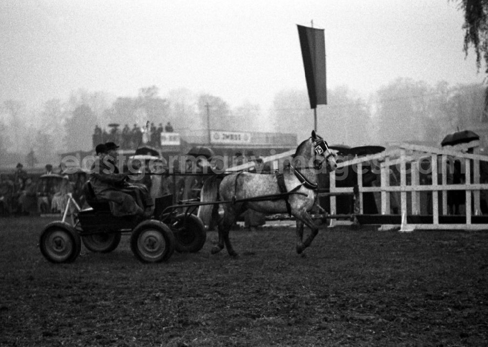 Leipzig: Riding and driving competition at the Scheibenholz racecourse in Leipzig in the state Saxony on the territory of the former GDR, German Democratic Republic