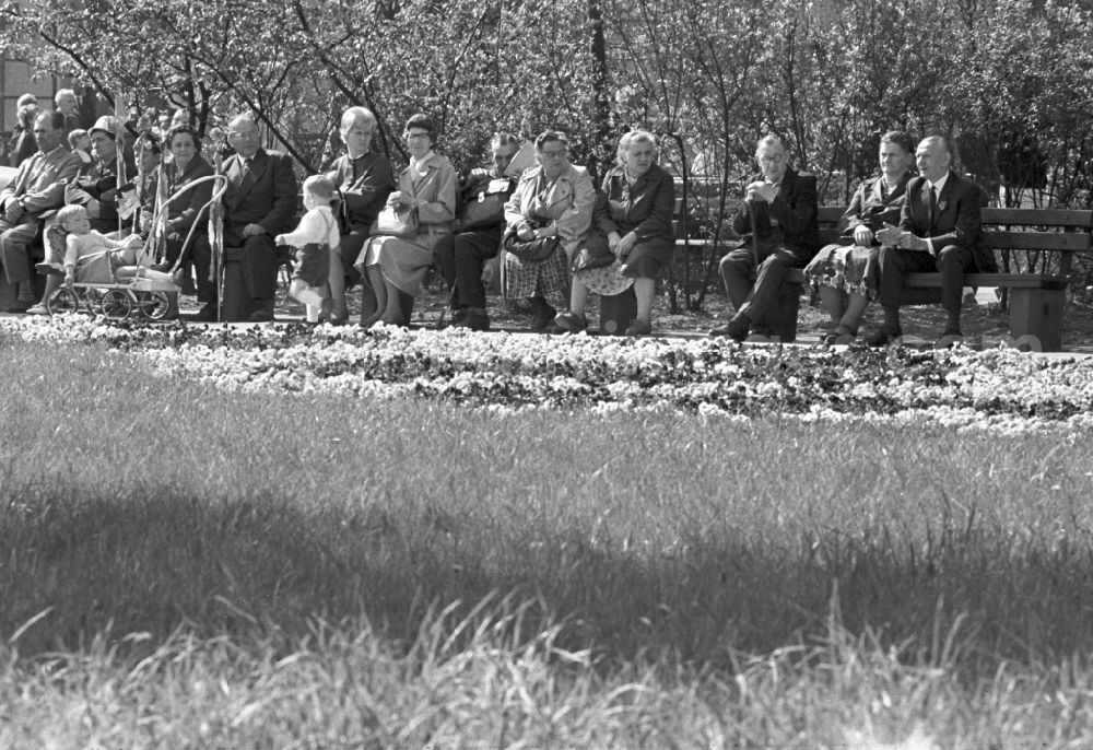 GDR photo archive: Magdeburg - Retirees on a park bench in the city park of Magdeburg
