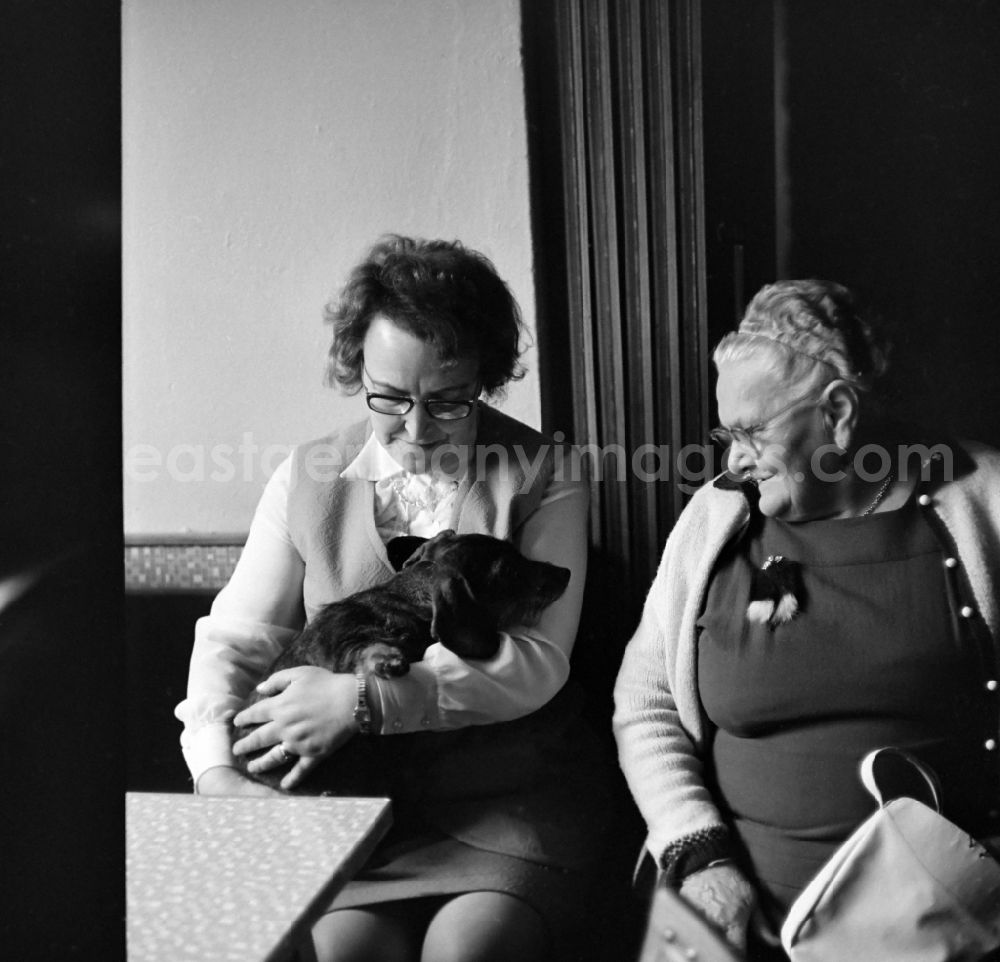 GDR picture archive: Leipzig - Senior citizens during a visit to a restaurant in Leipzig in the federal state of Saxony on the territory of the former GDR, German Democratic Republic