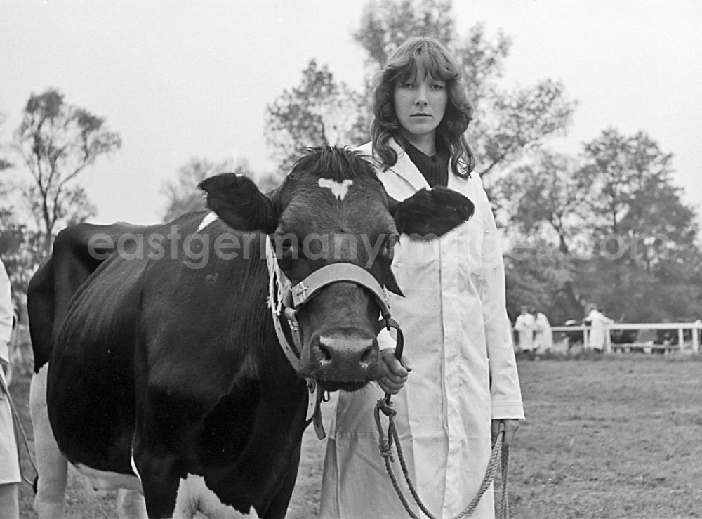 GDR photo archive: Paaren - Cattle breeding exhibition and presentation on the occasion of a village festival in Paaren, Brandenburg on the territory of the former GDR, German Democratic Republic