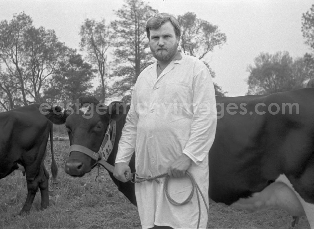 GDR photo archive: Paaren - Cattle breeding exhibition and presentation on the occasion of a village festival in Paaren, Brandenburg on the territory of the former GDR, German Democratic Republic