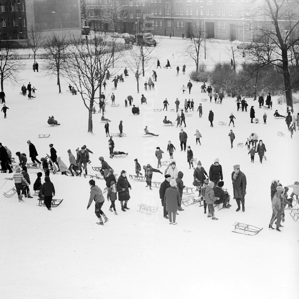GDR picture archive: Berlin - Sledding in the Friedrichshain park in Berlin, the former capital of the GDR, German Democratic Republic. The Berlin youth with their sleds on the wintry Mont-Klamott