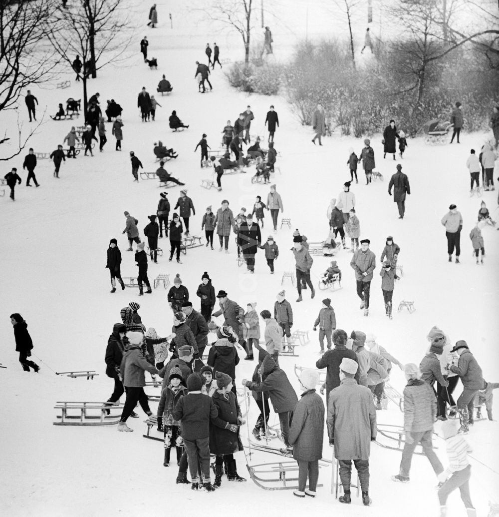 Berlin: Sledding in the Friedrichshain park in Berlin, the former capital of the GDR, German Democratic Republic. The Berlin youth with their sleds on the wintry Mont-Klamott