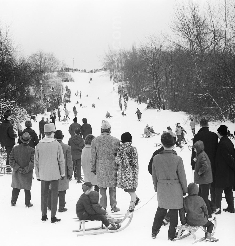 GDR image archive: Berlin - Sledding in the Friedrichshain park in Berlin, the former capital of the GDR, German Democratic Republic. The Berlin youth with their sleds on the wintry Mont-Klamott
