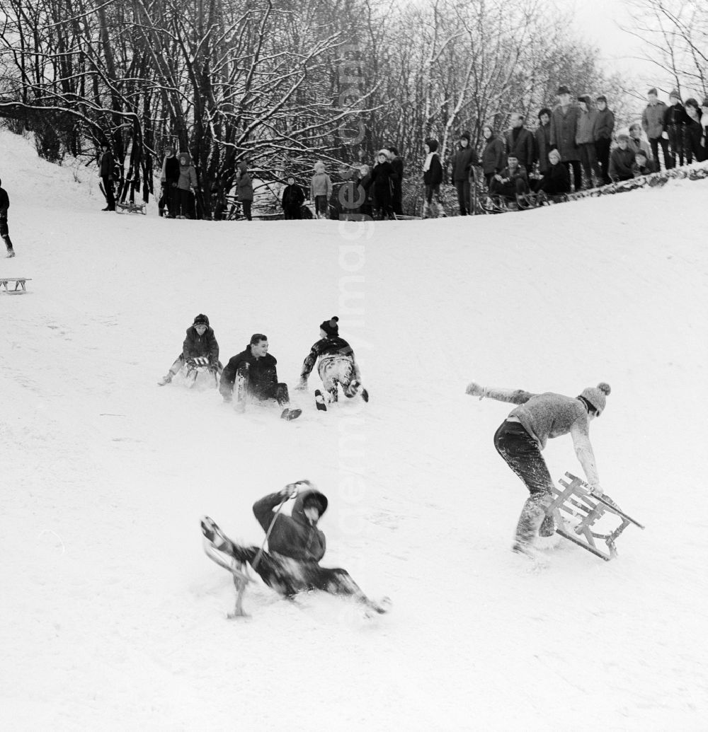 GDR photo archive: Berlin - Sledding in the Friedrichshain park in Berlin, the former capital of the GDR, German Democratic Republic. The Berlin youth with their sleds on the wintry Mont-Klamott