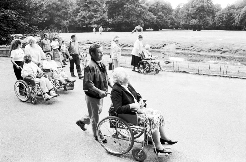 GDR image archive: - Rollstuhlfahrer im Tierpark Umschlag:671