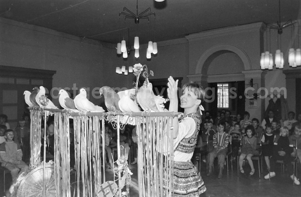 GDR picture archive: Stolberg (Harz) - Samel's animal show at the FDGB recreation home Waldfrieden in Stolberg (Harz) in the federal state of Saxony-Anhalt in the territory of the former GDR, German Democratic Republic