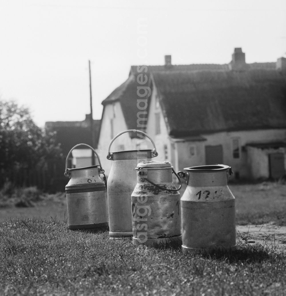 GDR picture archive: Insel Hiddensee - Collection point for milk jugs from zinc sheet in Neuendorf on the island Hiddensee in what is now the state of Mecklenburg-Western Pomerania