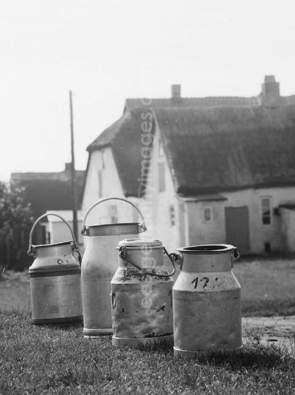 Insel Hiddensee: Collection point for milk jugs from zinc sheet in Neuendorf on the island Hiddensee in what is now the state of Mecklenburg-Western Pomerania