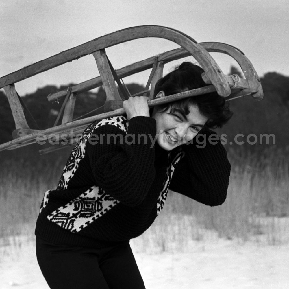 GDR photo archive: Berlin - The actress Kati Szekely (Catherine Székely) with a sledge in winter in Berlin, the former capital of the GDR, German Democratic Republic