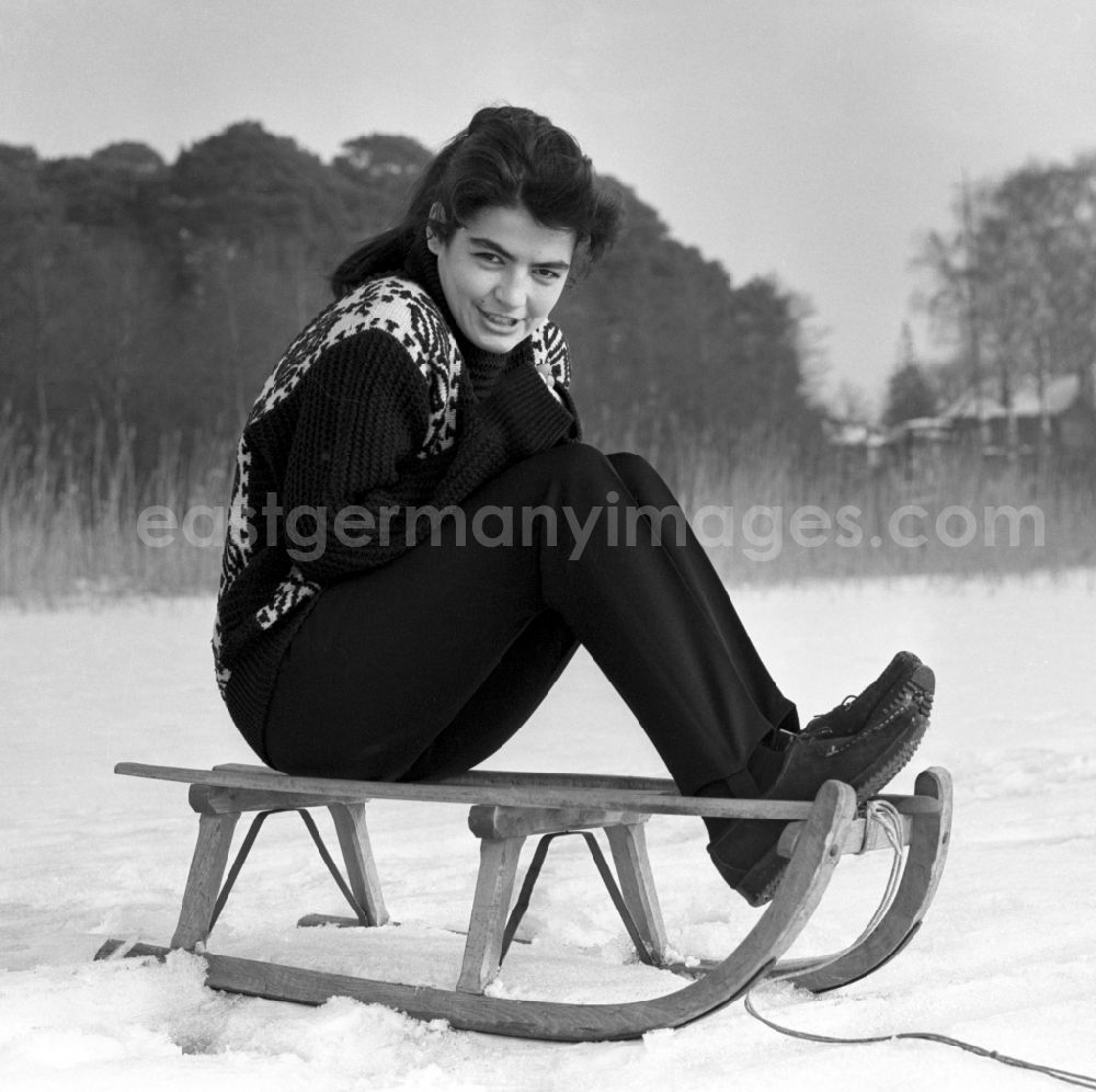 GDR picture archive: Berlin - The actress Kati Szekely (Catherine Székely) with a sledge in winter in Berlin, the former capital of the GDR, German Democratic Republic
