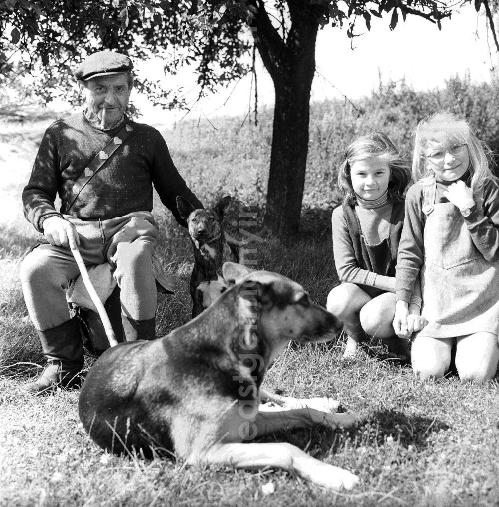 GDR image archive: Lenzen (Elbe) - Shepherd with his two grandchildren in Lenzen(Elbe) in the federal state Brandenburg in the area of the former GDR, German democratic republic