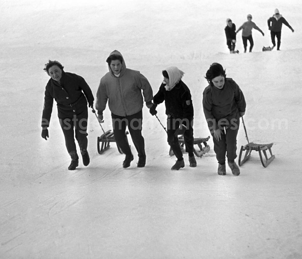 GDR photo archive: Ilmenau - So schön kann der Winter sein - Jugendliche haben in Ilmenau Spaß beim gemeinsamen Schlitten fahren.