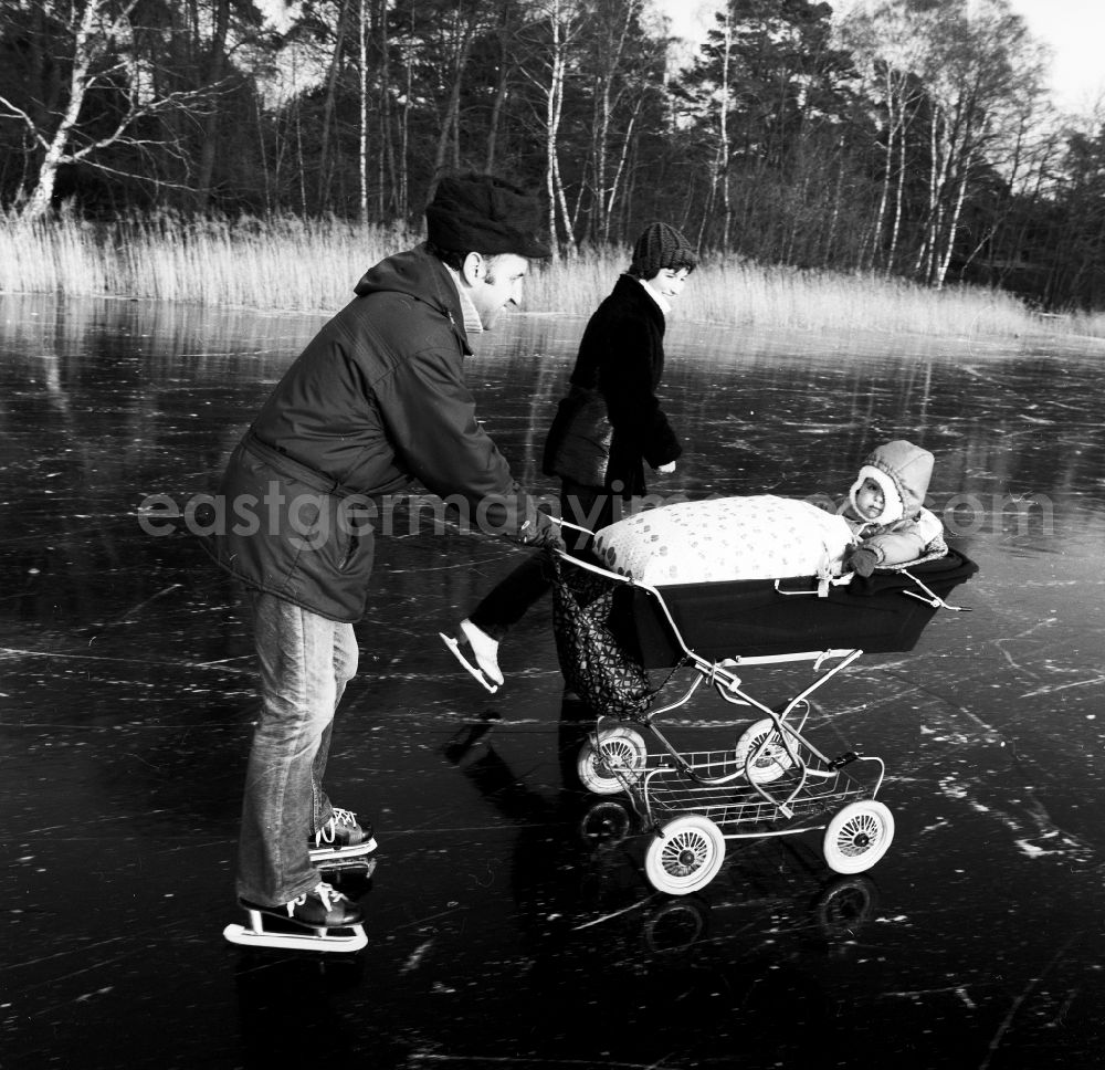 GDR image archive: Zossen - Ice skating with pram on the frozen Motzener See in Zossen in the federal state Brandenburg on the territory of the former GDR, German Democratic Republic