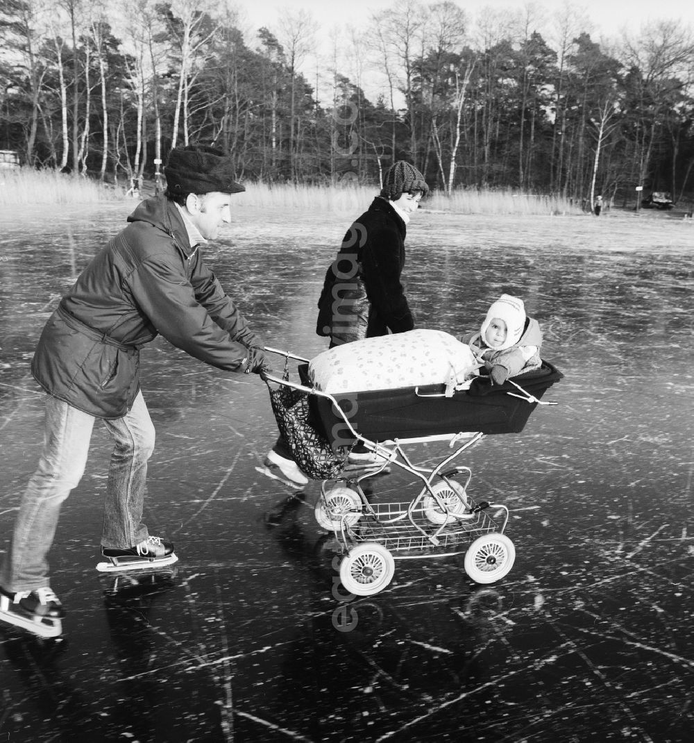 GDR photo archive: Zossen - Ice skating with pram on the frozen Motzener See in Zossen in the federal state Brandenburg on the territory of the former GDR, German Democratic Republic