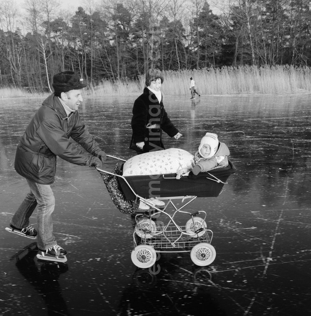 GDR picture archive: Zossen - Ice skating with pram on the frozen Motzener See in Zossen in the federal state Brandenburg on the territory of the former GDR, German Democratic Republic