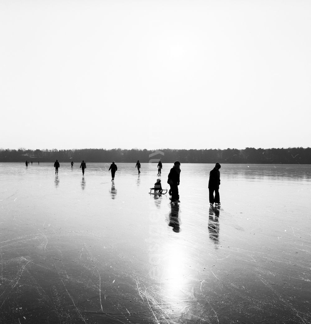 GDR picture archive: Zossen - Ice skating on the frozen Motzener See in Zossen in the federal state Brandenburg on the territory of the former GDR, German Democratic Republic