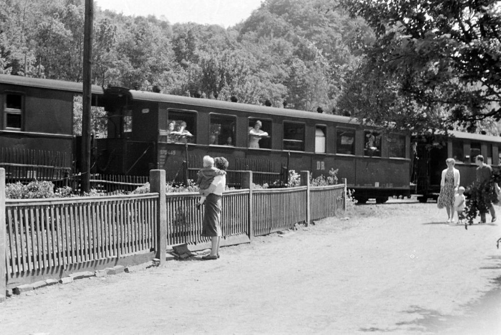 GDR photo archive: Radebeul - Narrow-gauge railway passenger train of the Deutsche Reichsbahn traveling in Radebeul, Saxony in the territory of the former GDR, German Democratic Republic